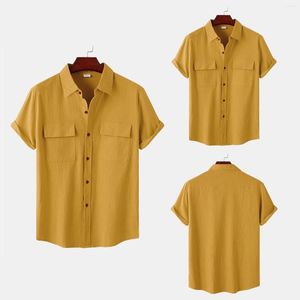 Heren t shirts mannelijke zomer hawaii massief shirt shirt shirt short mouw dubbele pocket down collar knop