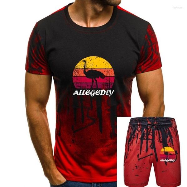 T-shirts pour hommes Autruche sur fond de coucher de soleil T-shirt pour hommes Été Coton Mode Vêtements surdimensionnés Sweat Haute Qualité Tops Lâche T-shirt