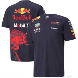 Camisetas para hombre, ropa para correr, F1, carreras todoterreno, secado rápido, novedad de verano, Jersey de equipo, manga corta, cuello redondo, 65kv, 2023