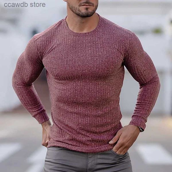 T-shirts pour hommes Printemps Tricoté Sports À Manches Longues Hommes Slim Fit Col Rond T-shirt De Course Hommes Automne Casual Gym Formation Bodybuilding Tees T240105