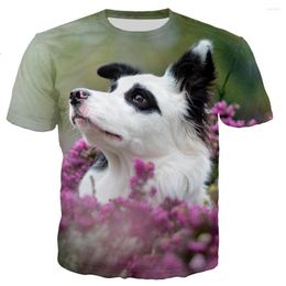 Heren t shirts zomer 3d vrijetijdsdruk grens collie 2023 mode mannen/vrouwen individualiteit shirt tops