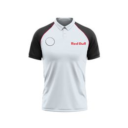 Camisetas de hombre Camisetas polo de verano F1 Formula Bmw Sauber Team Fans Ropa de trabajo informal Unisex personalizada