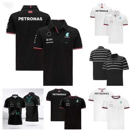 Heren T-shirts Trainingspakken F1 Formula One Racing Polo Suit Zomershirt met korte mouwen Zelfde stijl maatwerk