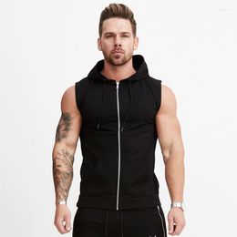 Débardeurs pour hommes Tops 2023 Hommes Zipper T-shirt Fitness Couleur unie Sans manches Cardigan à capuche Casual Summer Male Sport Running