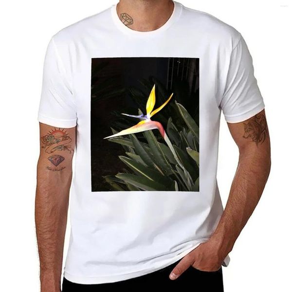 Tops de débardeur pour hommes Bird de paradis t-shirt de fleurs mignons mignons animaux Prinfor Boys t-shirts pour hommes graphiques