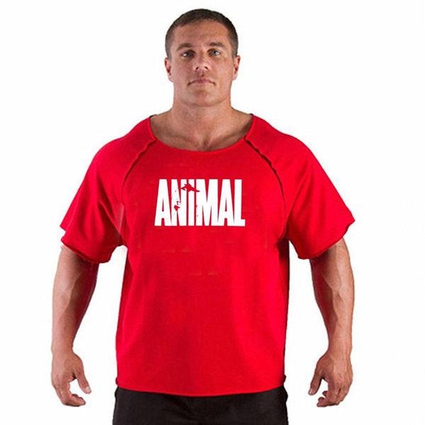Camisetas sin mangas para hombres Camisetas para hombres Fitness Hombres Camisa de culturismo Manga de murciélago Rag Gym Muscle Running Shirt2022Men's