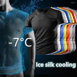 Heren tanktops Zomer heren ijszijde T-shirt met korte mouwen Sneldrogende kleding Effen kleur Mesh Ademend Losse sportkleding