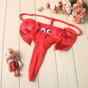 String pour hommes, sous-vêtements Sexy avec nez d'éléphant, dessin animé amusant, 629583
