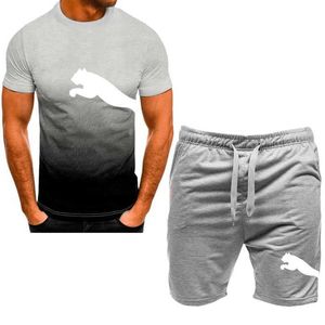 Tracksuits voor heren 2024 NIEUWE MENS MODUSHOUWE SPORTWEAR ZOMERLAAG Fitness Fitness Korte mouwen T-shirts en shorts Quick Drying 2 stuks Q2405010