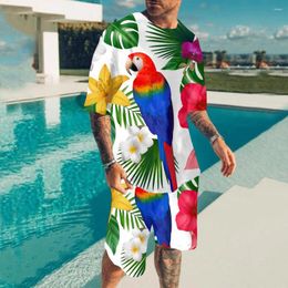 Parcours masculins Hawaii SetS Parrot 3D Print Tracksuit Men Hommes à manches courtes T-shirt Vacation Streetwear T-shirts Shorts 2 pièces Kid Suits