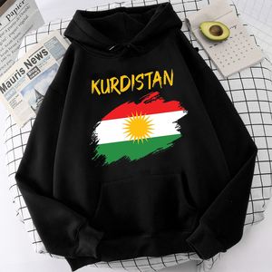 Chándales de los hombres Sudaderas con capucha de Kurdistan Hombres Ropa masculina impresa Ulzzang Y2k Estética 230217