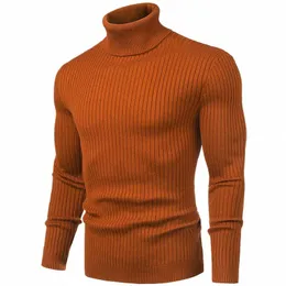 Suéter de cuello alto para hombres Otoño Invierno Jerseys de punto para hombres Rollneck Suéter de punto Cálido Hombres Jumper Slim Fit Suéter casual H76V #