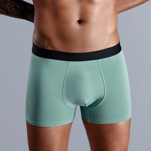 Sous-vêtements pour hommes Modal 3D caleçons pour hommes pur respirant Boxer confortable E6661