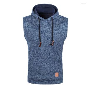 Herenvesten Herfst Winter Mode Vest Heren Fleece Trui Vest Mannelijke Casual Jumpers Mouwloos Truien Gebreide herenkleding met capuchon