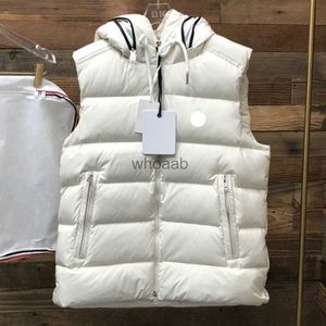Herenvesten Designer heren donsvesten jas met capuchon winter puffer vest jassen geborduurde badge warme bovenkleding volledige label jassen HKD230918