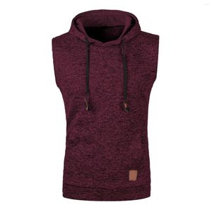 Gilets pour hommes mâle automne et hiver fond tricoté gilet à capuche couleur unie cordon vêtements de plein air tricot pull vintage