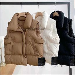 Herenvesten van hoge kwaliteit stenen jas eiland Designer vest Vest Tops Warm donsvest Design Warm dons Damesjas Mode Winter Mouwloos steen-eiland jas