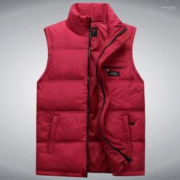 Gilets pour hommes vente en gros- 2022 automne et hiver arrivée vers le bas coton gilet manteau thermique col montant gilet mâle grande taille L-4XL1