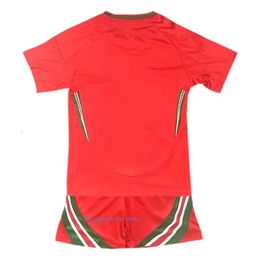 Hombres Mujeres de chándal Wales Kits Kit de fútbol Camisetas Wilson Ramsey Rodon N Williams B Davies Matondo Home Away Fútbol Camisas Fútbol Uniformes sueltos en forma seca