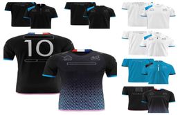 T-shirt polo de l'équipe pour hommes et femmes, nouveau produit 2023, combinaison quatre saisons, une combinaison de course officielle, personnalisée 8452919