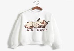 Men039S Hoodies Men039S Sweatshirts Avatar The Last Airbender Men Appa Yip Harajuku Print Casual Loose Male Fashion Long S4293246