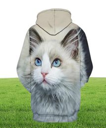 Men039s Sweats à capuche Sweats mignon chat garçon fille en plein air impression 3D pull à capuche animal de compagnie imprimer mode sport pull automne et3850993