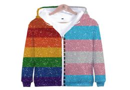 Men039s Sweatshishies Sweats lesbiennes Gays Bisexuels Transgender Rainbow 3D Zipper à capuche Sweetshirt Menwomen Hip Hop 4954336