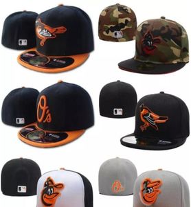 Men039s Oriole Fitted Hat Flat Team broché une lettre Logo Fans Baseball Chapeaux Baseball Caps pas cher Oriole sur le terrain Full Fermed6018877