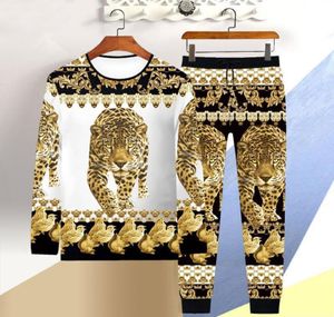 Men039s Survêtements 2022 Automne et hiver T-shirt à manches longues Homme 3D Tiger Print Casual Hiphop Pantalon Style chinois Dragon Su5133970