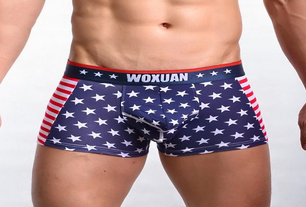 Men039s Caleçons Boxers Shorts Classique USA Drapeau Imprimé Hommes BoxerShorts Coton Hommes Sous-Vêtements Sexy Taille Basse Convexe Design9604196