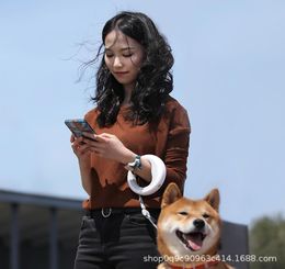Mengwangxing UFO rétractable PET DOG CHANE LEASH Collar0129100310