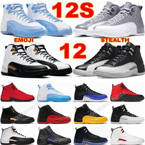 Hommes 12 Chaussures de basket-ball hautes Noir Loup Gris Blanc Cerise Université Bleu Dark Knight Violet Sequoia Winterized Emoji UNC Stealth Hyper Royal Taxi Baskets inversées