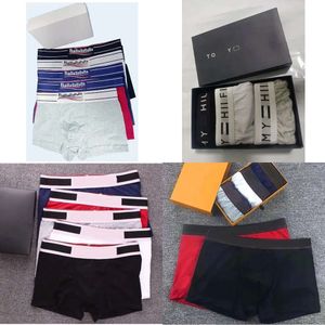 Mens 3pcs / lot Underpants boxer Boîtres biologiques Coton Modal Sexy Gay Mâle Boxer Brestable New Mesh Man Underwear Taille M-xxl S