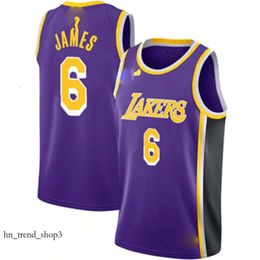 Maillots de basket-ball pour hommes 3 Anthony Davis 6 23 James Toscano Anderson LBJ Russell 0 Westbrook Black Mamba Shaq O'neal Patrick Beverley Schroder 24-25 Nouvelle saison 938