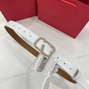 Ceintures pour hommes pour femmes ceinture de créateur classique couleur unie lettre d'or luxe Vintage aiguille à aiguille boucle ceintures 6 couleurs largeur 3 cm taille 95-115 mode décontractée