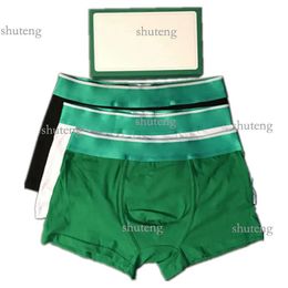 Boxers pour hommes Shorts verts culottes caleçons boxeurs coton mode 7 couleurs sous-vêtements envoyés au hasard choix multiples vente en gros envoyer 608 2