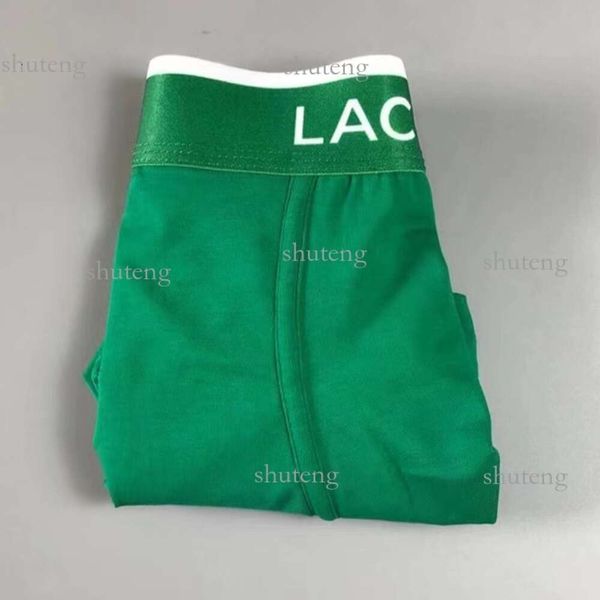 Boxers pour hommes Shorts verts culottes caleçons boxeurs coton mode 7 couleurs sous-vêtements envoyés au hasard choix multiples vente en gros envoyer 757 3