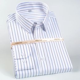 Mens Classic Lange Sleeve Non Iron Striped Dress Shirts Verwijderbare kraagverblijven Formele zaken Regular Fit Pure Cotton Shirt 240329