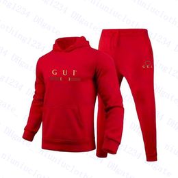 Sweats à capuche pour hommes Sweatshirts Imprimer Femmes Survêtements Causal 2 pièces Ensembles Sweatsuits Sport Jogger Printemps Automne Pollover Pantalon à capuche Sportwear Survêtement