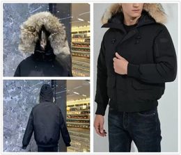 Mens Down Parkas Designer Puffer Jacket Vestes d'hiver Étiquette de broderie Bodywarmer Coton Luxe Femmes Coupe-vent Couples Épaissie Chaud Manteaux personnalisés