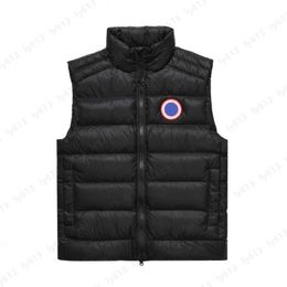 Donzen puffervest voor heren Designer Clothe 700 pluisvulling Waterdichte behandeling Winddichte stof Canadian Goose Co-ed met het dunne donsjack