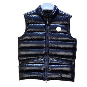 Heren gilet Designer vest Dames borduurbadge Lichtgewicht staande nek Korte puffervest Paar verdikte warme jas Topjas Donsjas