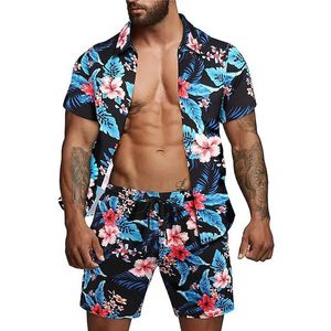 Hawaïhemd en korte broek voor heren, set prints, geweldige casual streetwear of strandkleding in de maten S XXXL, tweedelige zomerjurk, herenoutfits, trainingspak, sportkleding