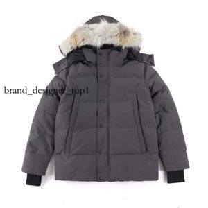 Mens jas Canada Goose Down Jacket Down Parkas Heren Domans Down Parkas Puffer Jacket Coat Can Gooses Brand Long Canadass Goose Maple Leaf Down Jacket Stone 3808