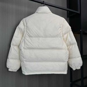 Veste d'hiver pour hommes, manteau en duvet, Simple, classique, bras imprimé, gilet amovible, vêtement rempli de duvet, manteau pour femmes, unisexe