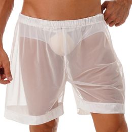 Lingerie pour hommes Mesh Sheer Fit Boxer Shorts mâles sous-vêtements masculins transparents Trunks Summer Belkwear 240509