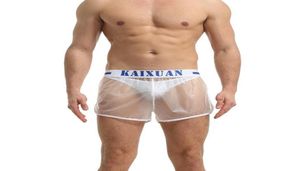 Boîtres de boxer pour hommes PVC PAUGNE GAY TRANSPARET SUPPROSSION SHAVE SURPORSTH SUPPORT CAUSALSHORTS SLIP HOMME TRUNKS7724651