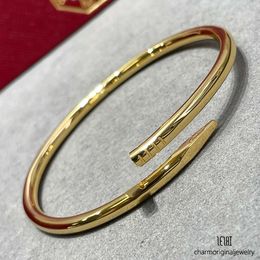 Heren nagel sier sieradenontwerper voor vrouwelijke armbanden stalen armbandschroef Gold Bangle armband