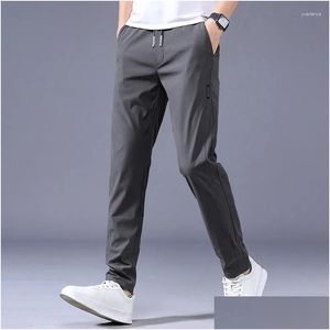 Pantalones pantanos el verano delgado suave elasticidad transpirable cintura de seda pantalones rectos de color sólido