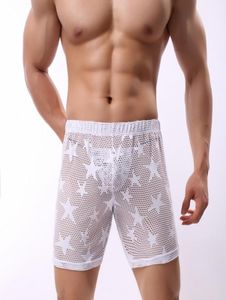 Hommes voir à travers le Boxer moyen sous-vêtements respirants maille Sexy évider caleçons boxeurs noirs pantalons Trunks6190960